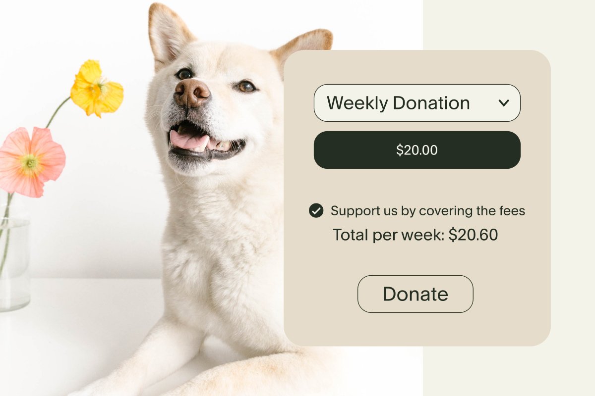 How to Use Donation Blocks on Squarespace