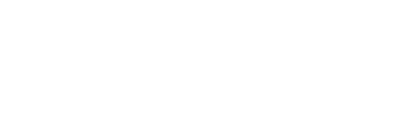 Circle Silver Partner badge