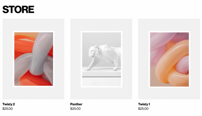 An image showing the template design features that is the Store function