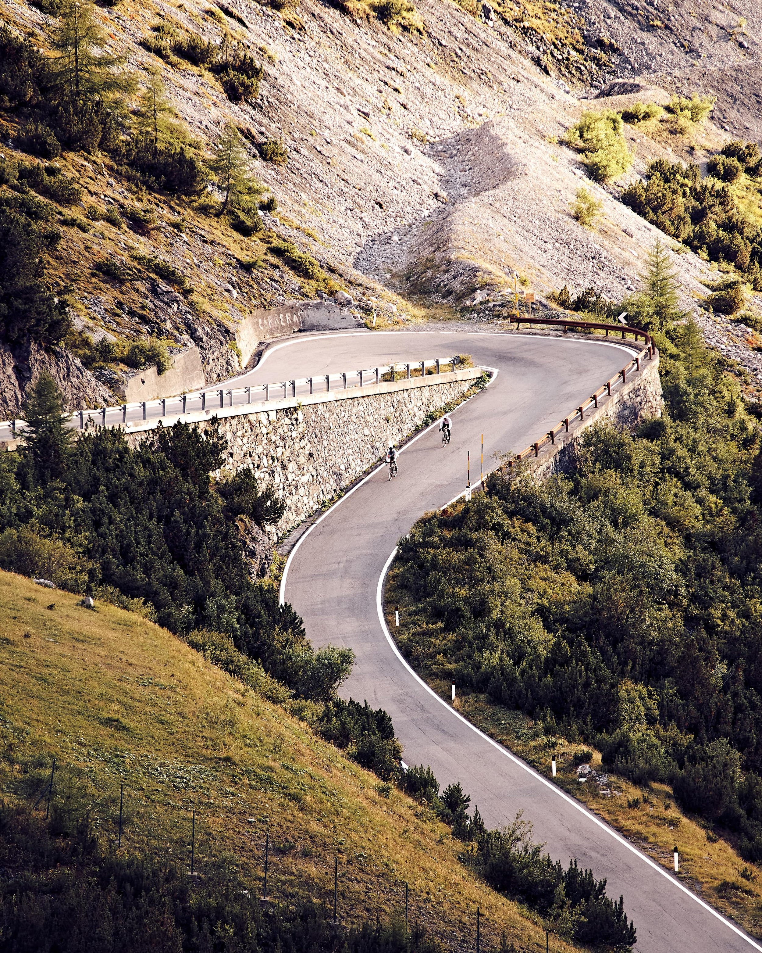 Road Cyclist Passo dello Stelvio Cycling in Italian Alps