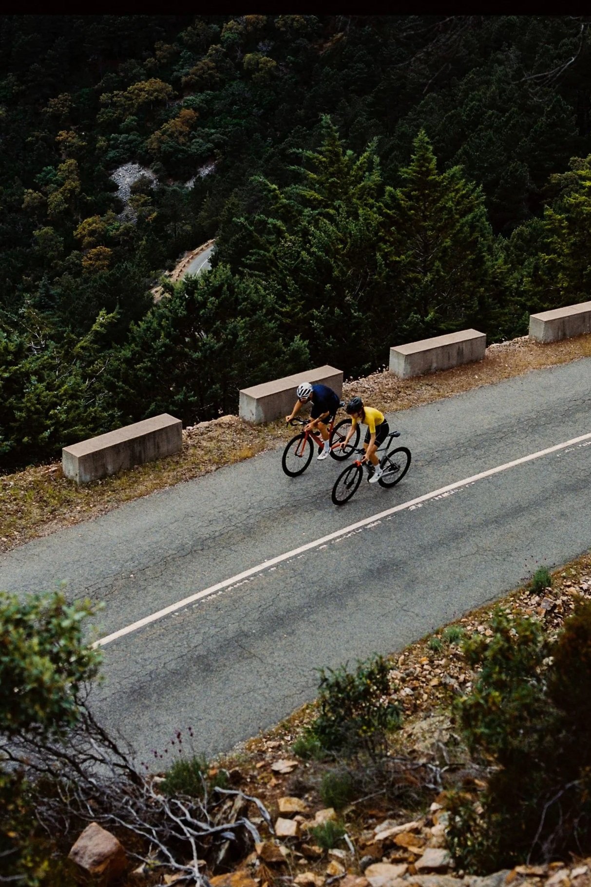 Cycling Through Nature's Embrace: Two Road Cyclists